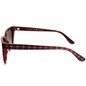 Amadeo Casual 93197 C3